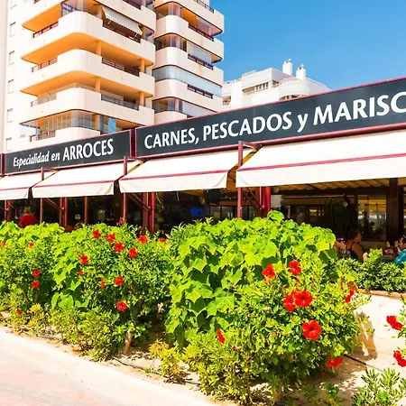 Amatista - Primera Linea *