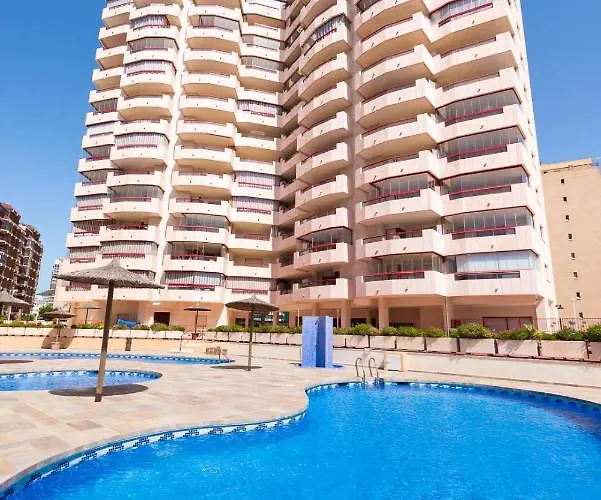 Amatista - Primera Linea *