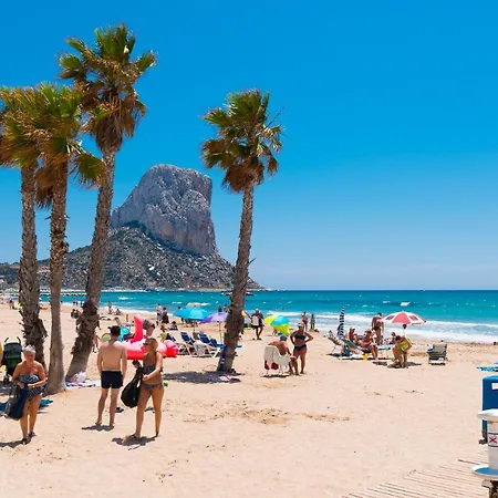 Amatista - Primera Linea *