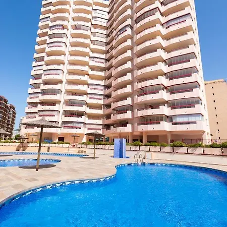 Amatista - Primera Linea *